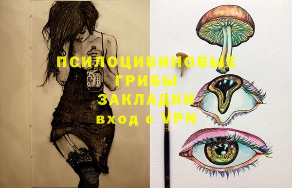 2c-b Алзамай